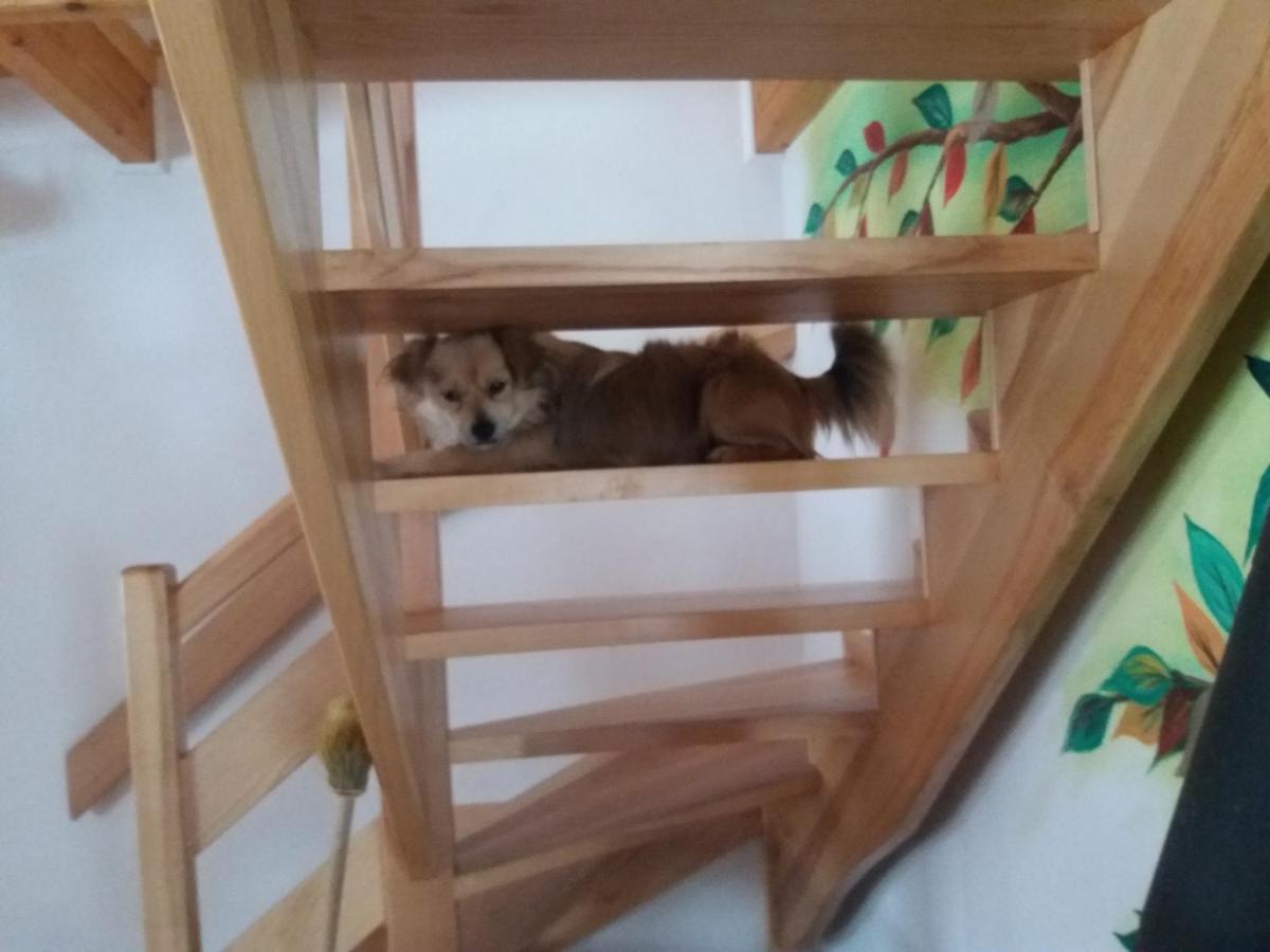 Domek Jaśka Baligrod Bagian luar foto